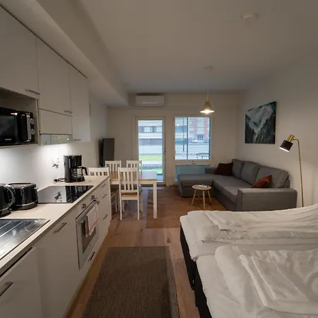 Appartement Snowflake Ix